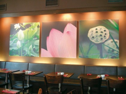 照片: Lotus 